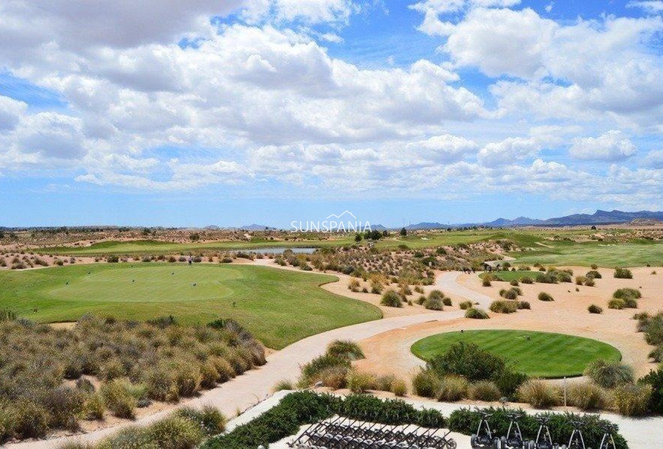 Obra nueva - Chalet -
Alhama De Murcia - Condado De Alhama