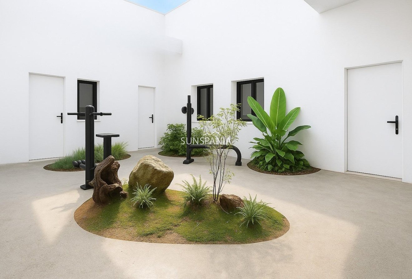 Obra nueva - Ático -
Torrevieja - pueblo