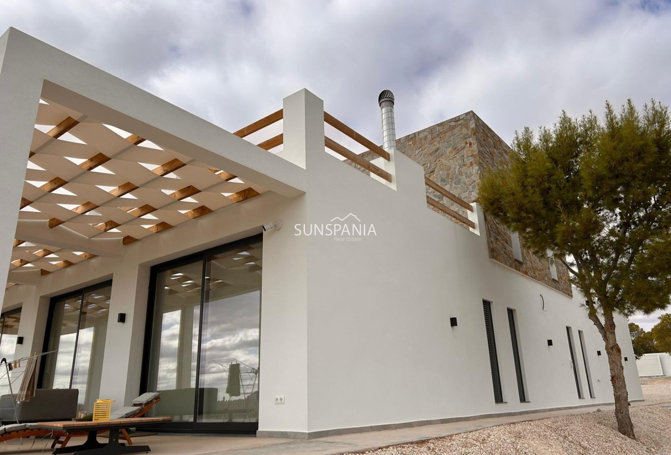 Obra nueva - Chalet -
Pinoso - Casas Pastor