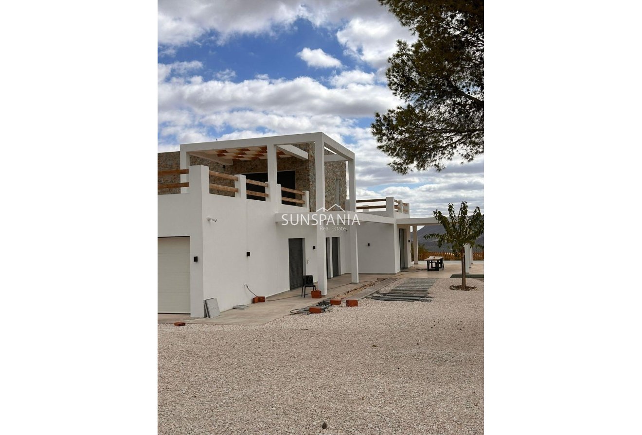 Obra nueva - Chalet -
Pinoso - Casas Pastor