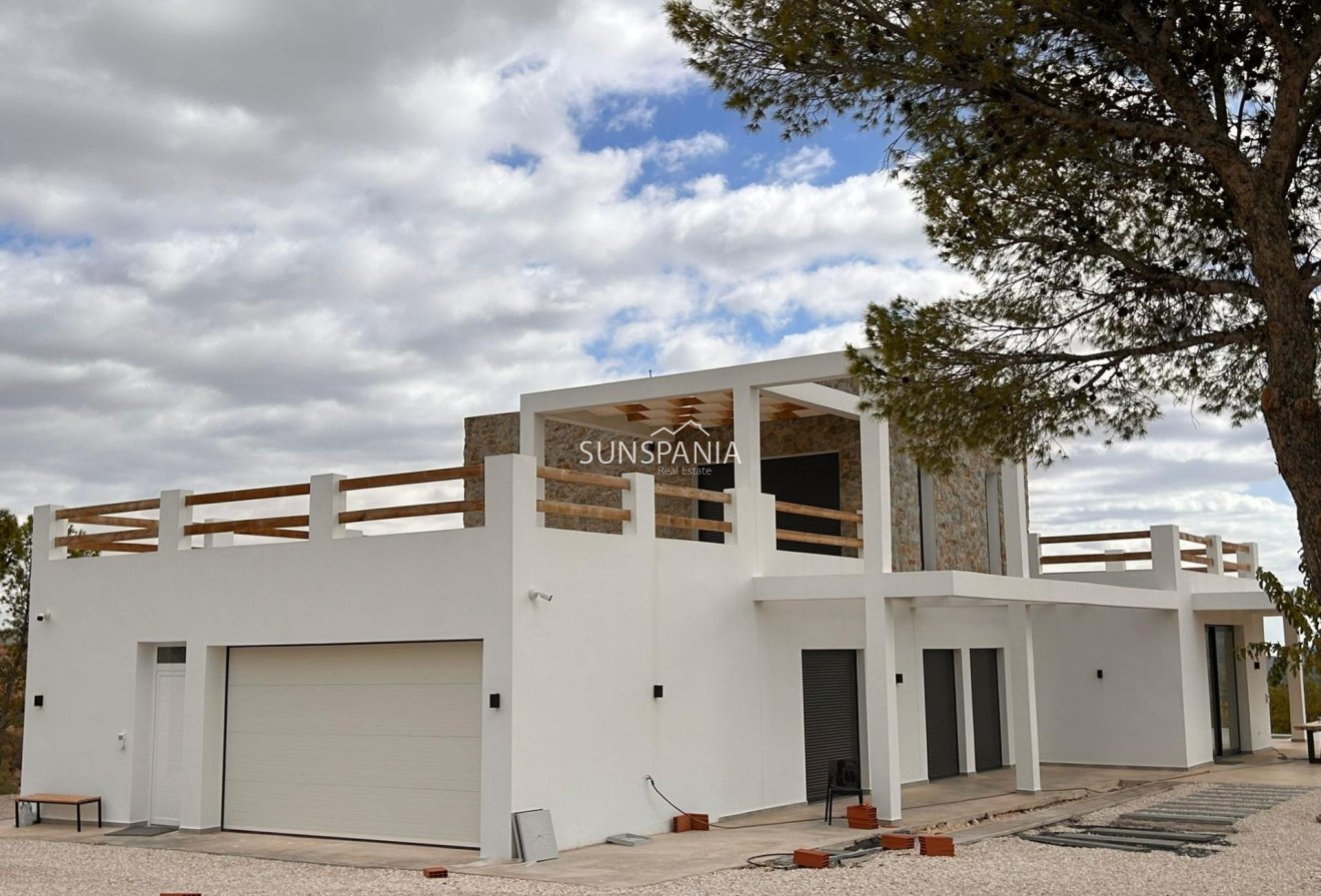Obra nueva - Chalet -
Pinoso - Casas Pastor