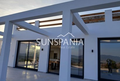 Obra nueva - Chalet -
Pinoso - Casas Pastor