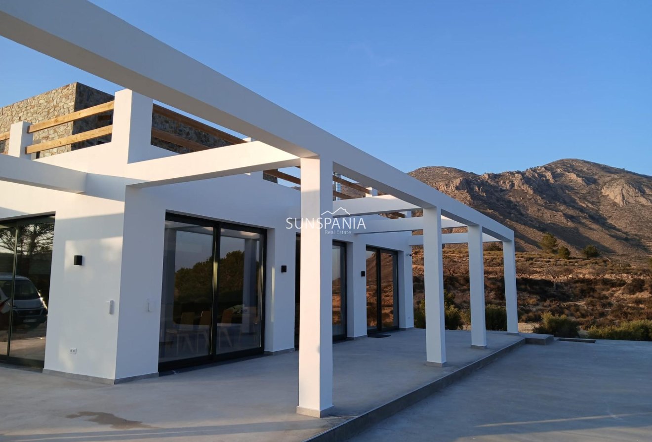 Obra nueva - Chalet -
Pinoso - Casas Pastor