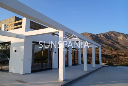 Obra nueva - Chalet -
Pinoso - Casas Pastor