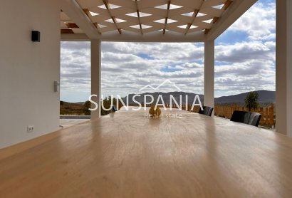 Obra nueva - Chalet -
Pinoso - Casas Pastor