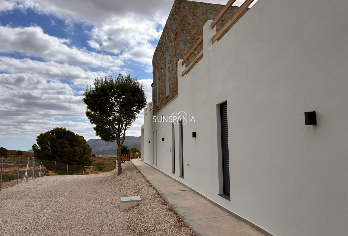 Obra nueva - Chalet -
Pinoso - Casas Pastor