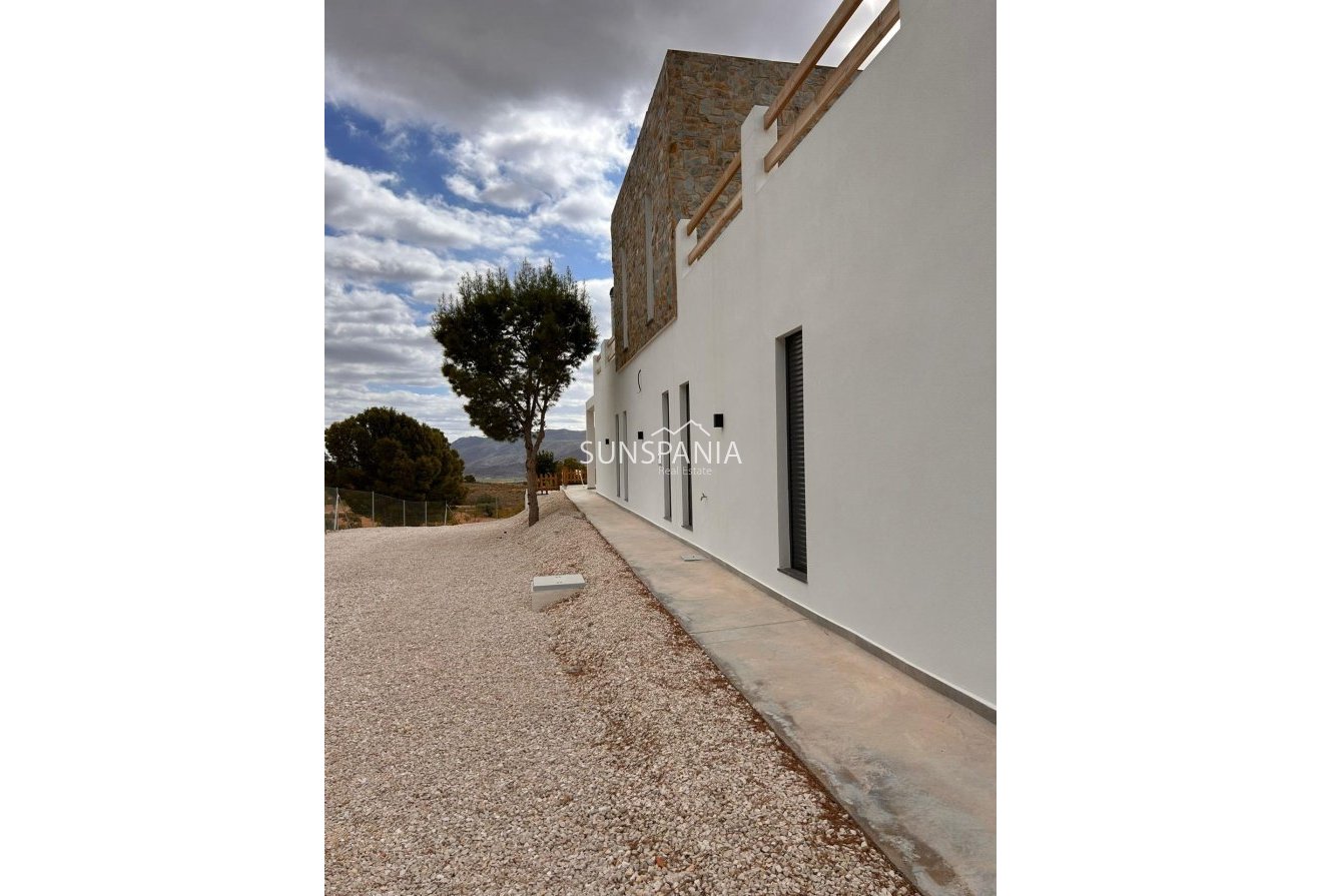 Obra nueva - Chalet -
Pinoso - Casas Pastor