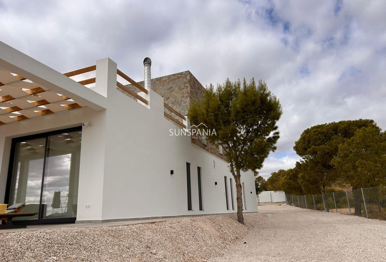 Obra nueva - Chalet -
Pinoso - Casas Pastor