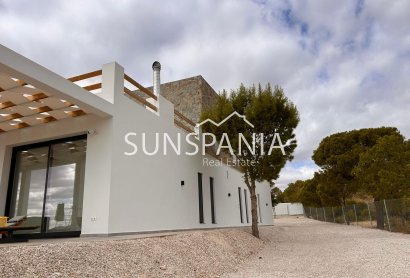 Obra nueva - Chalet -
Pinoso - Casas Pastor