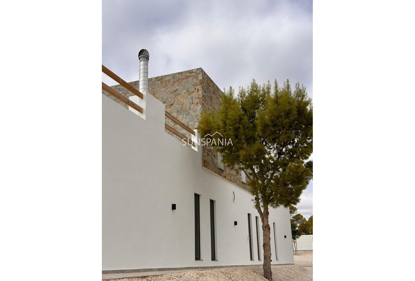Obra nueva - Chalet -
Pinoso - Casas Pastor