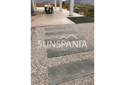 Obra nueva - Chalet -
Pinoso - Casas Pastor