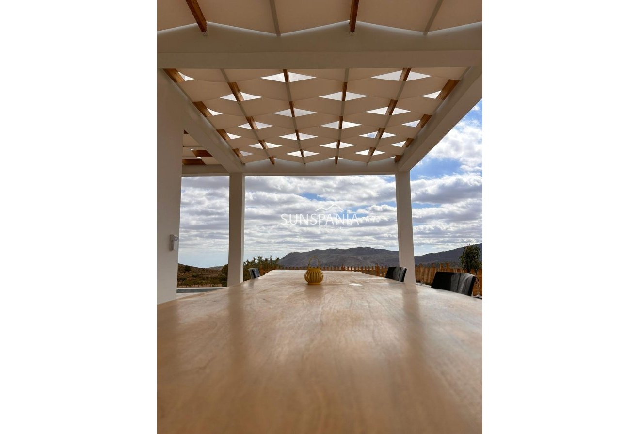 Obra nueva - Chalet -
Pinoso - Casas Pastor