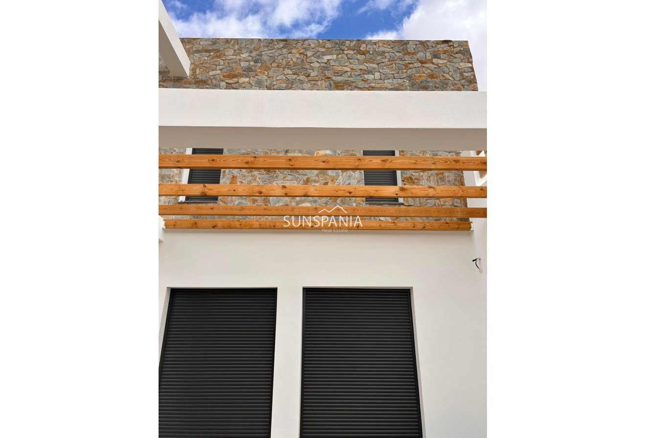 Obra nueva - Chalet -
Pinoso - Casas Pastor