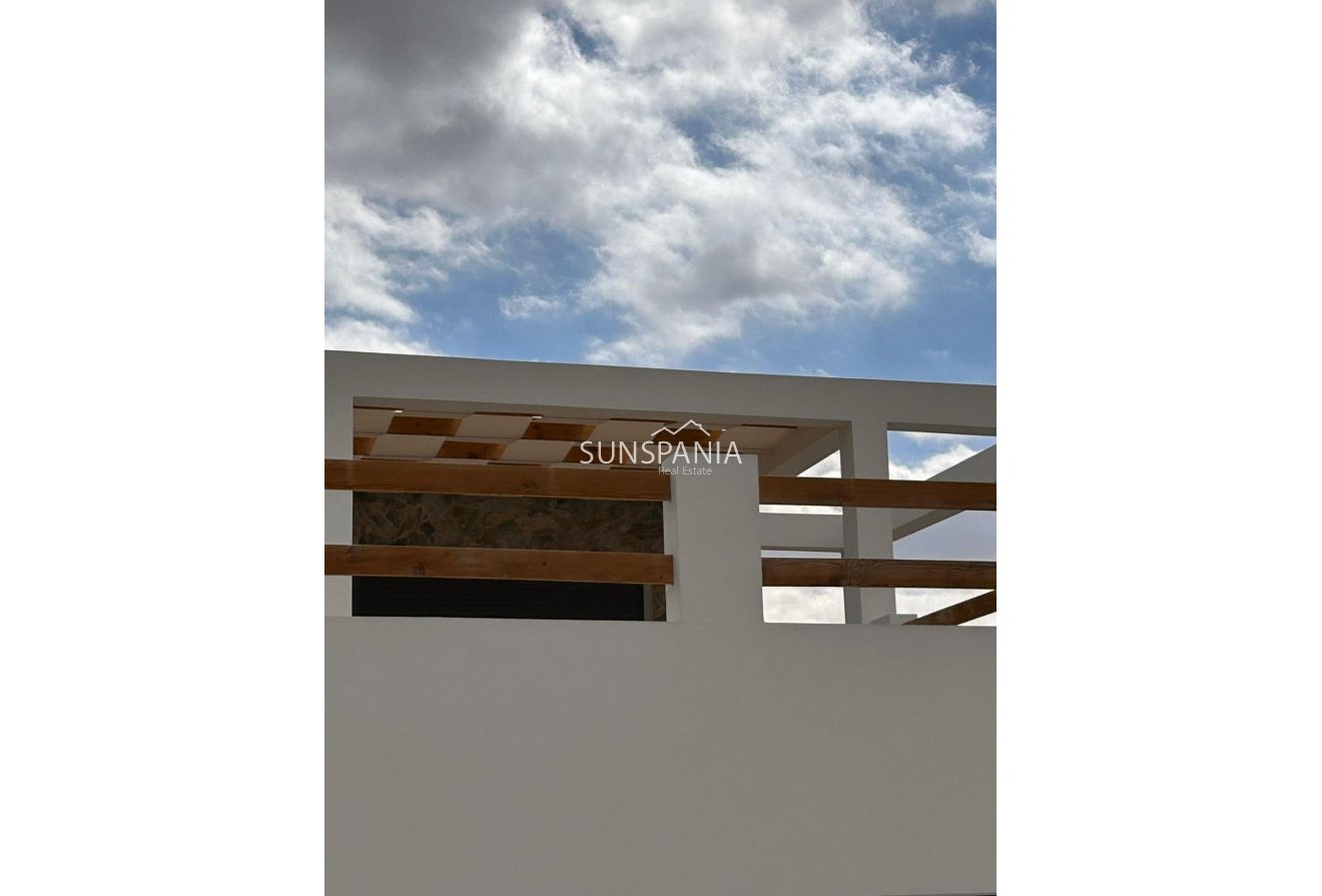 Obra nueva - Chalet -
Pinoso - Casas Pastor