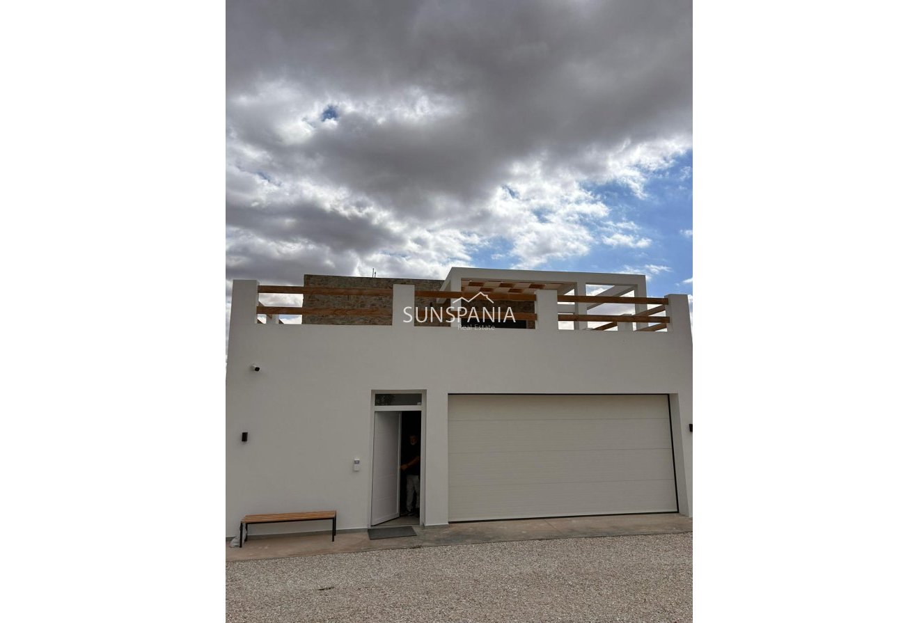 Obra nueva - Chalet -
Pinoso - Casas Pastor