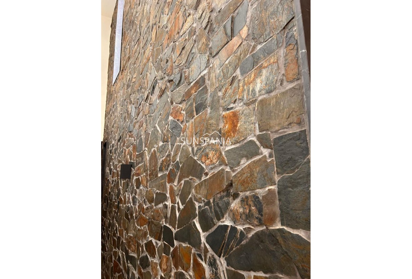 Obra nueva - Chalet -
Pinoso - Casas Pastor
