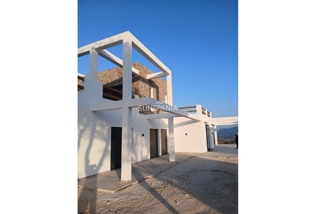 Obra nueva - Chalet -
Pinoso - Casas Pastor