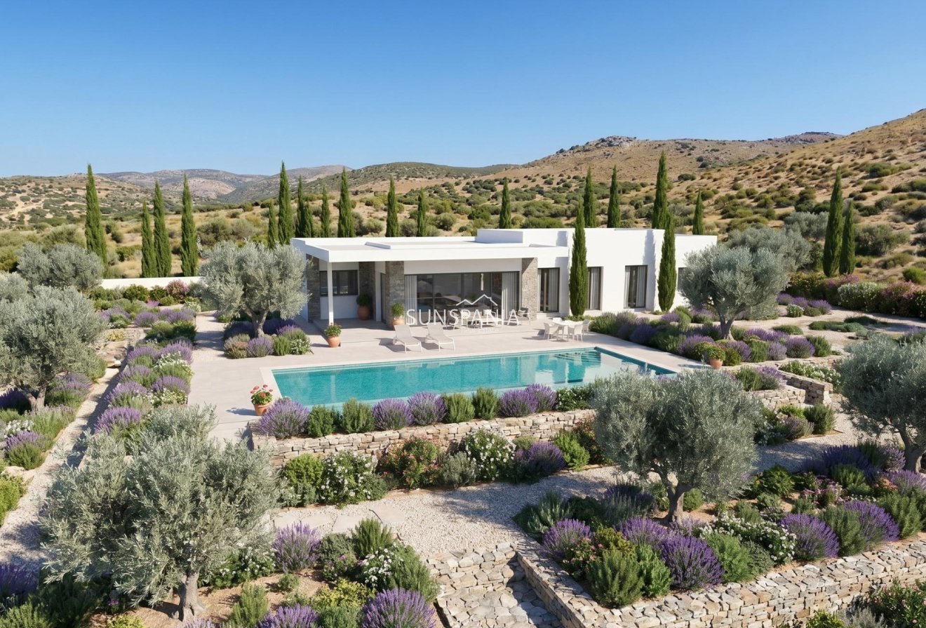 Obra nueva - Chalet -
Pinoso - Casas Pastor