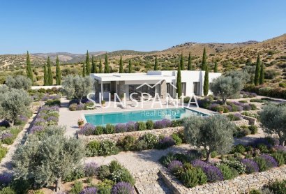 Obra nueva - Chalet -
Pinoso - Casas Pastor