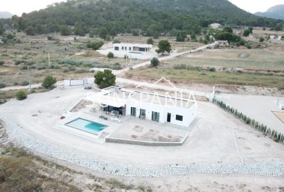 Obra nueva - Chalet -
Pinoso - Casas Pastor