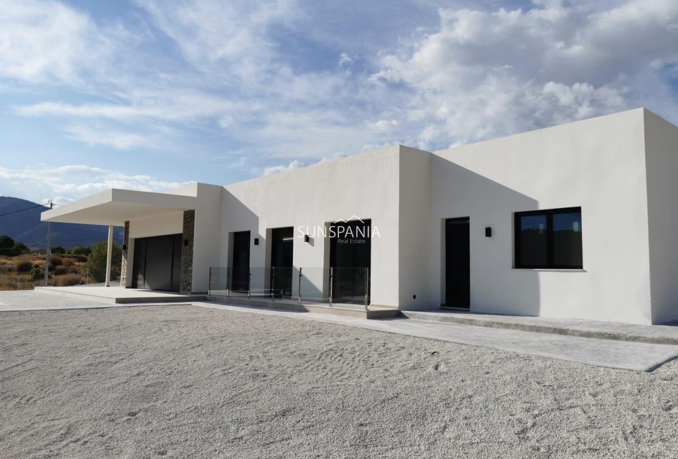 Obra nueva - Chalet -
Pinoso - Casas Pastor