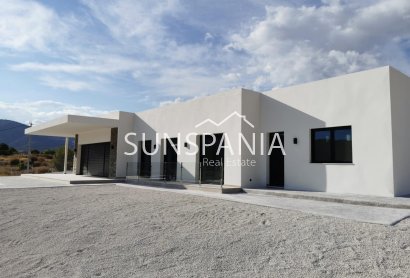 Obra nueva - Chalet -
Pinoso - Casas Pastor