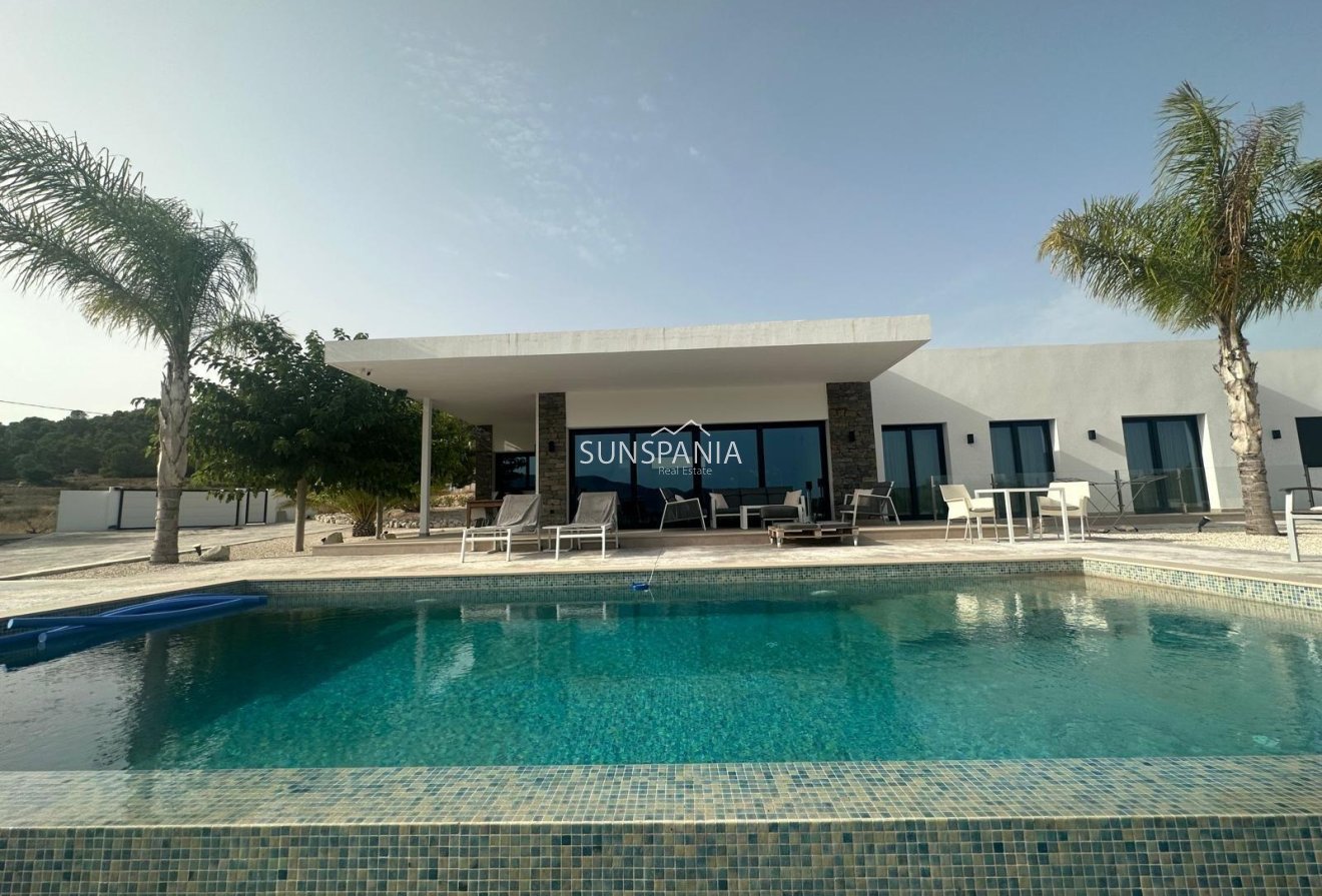 Obra nueva - Chalet -
Pinoso - Casas Pastor