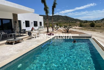 Obra nueva - Chalet -
Pinoso - Casas Pastor