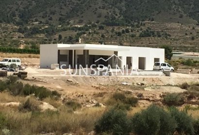 Obra nueva - Chalet -
Pinoso - Casas Pastor