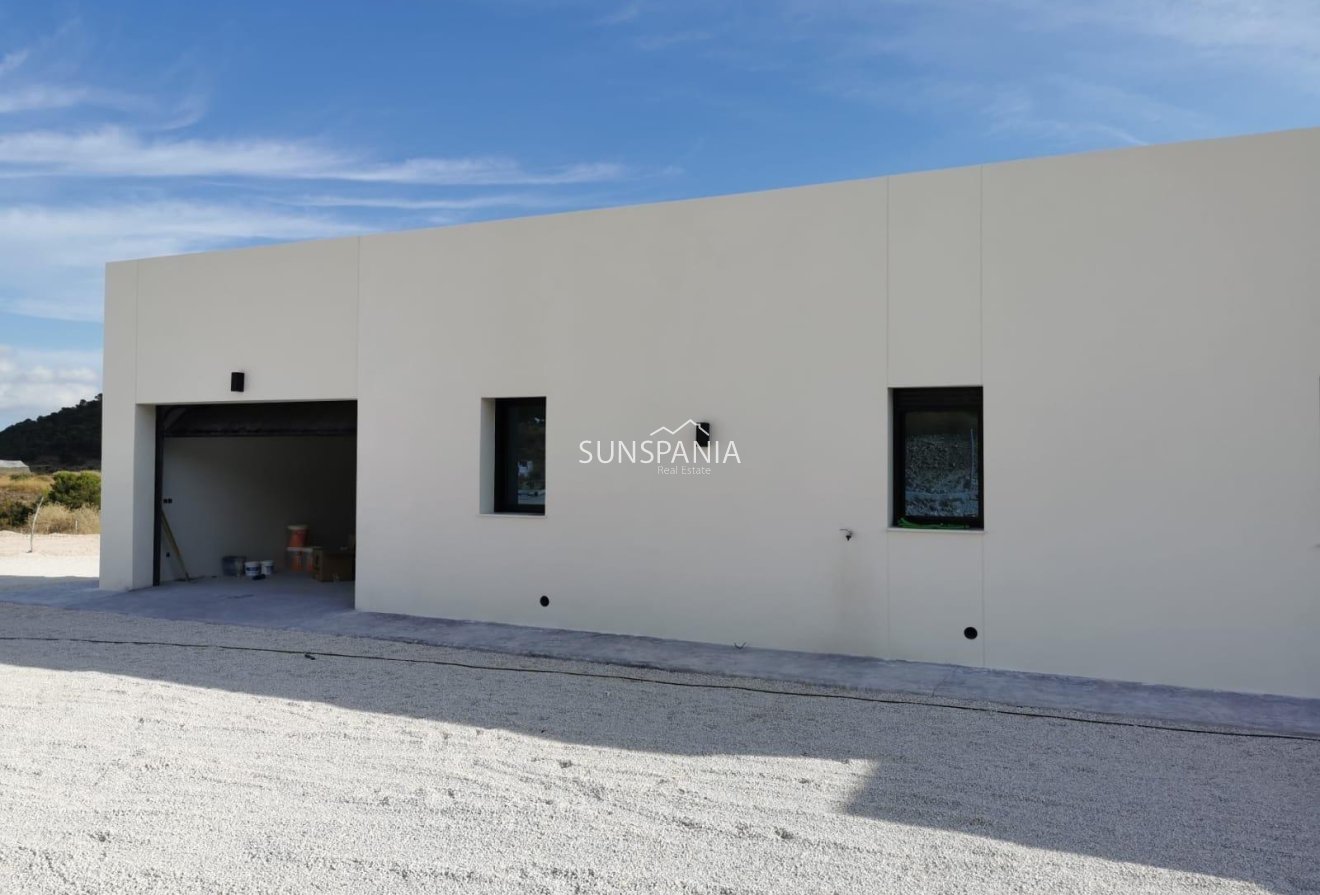 Obra nueva - Chalet -
Pinoso - Casas Pastor