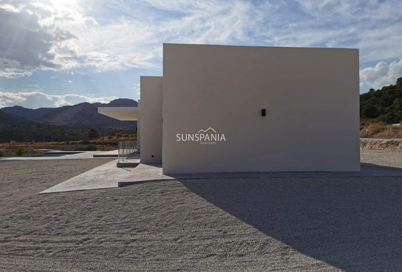 Obra nueva - Chalet -
Pinoso - Casas Pastor