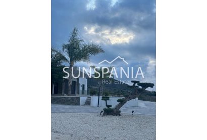 Obra nueva - Chalet -
Pinoso - Casas Pastor