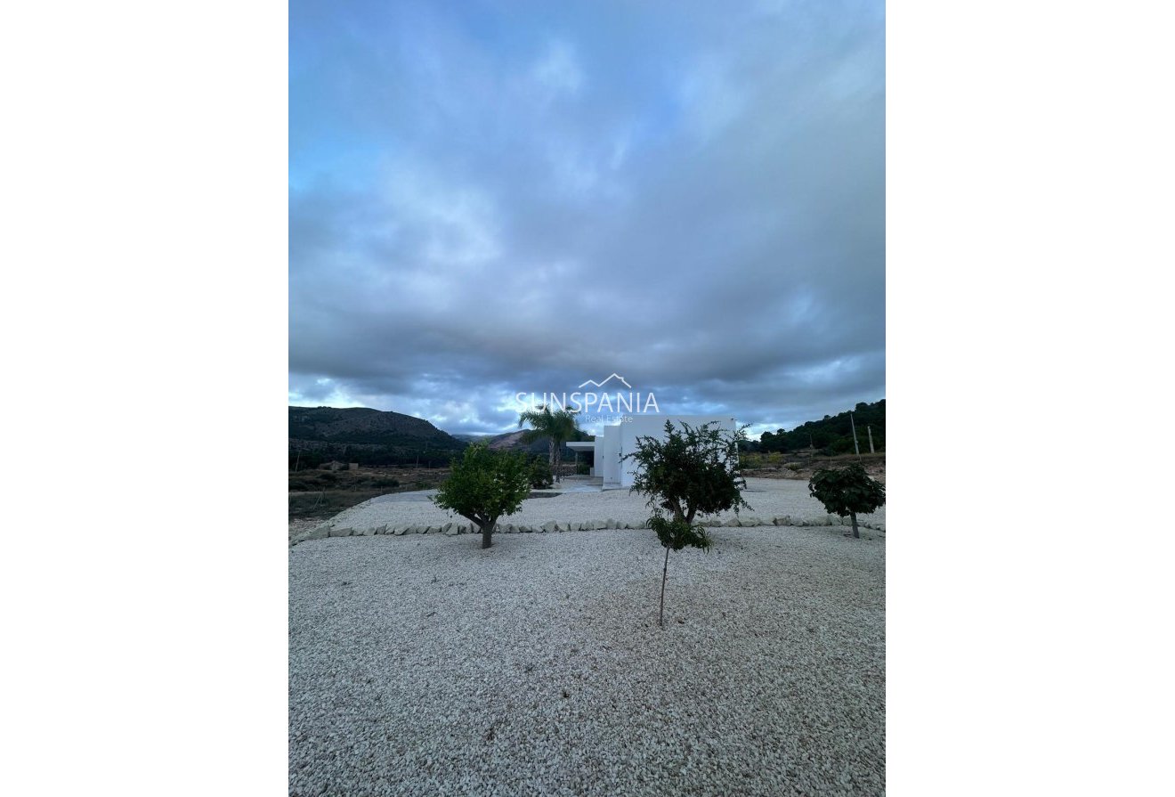 Obra nueva - Chalet -
Pinoso - Casas Pastor