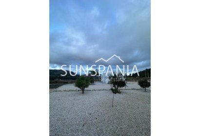 Obra nueva - Chalet -
Pinoso - Casas Pastor