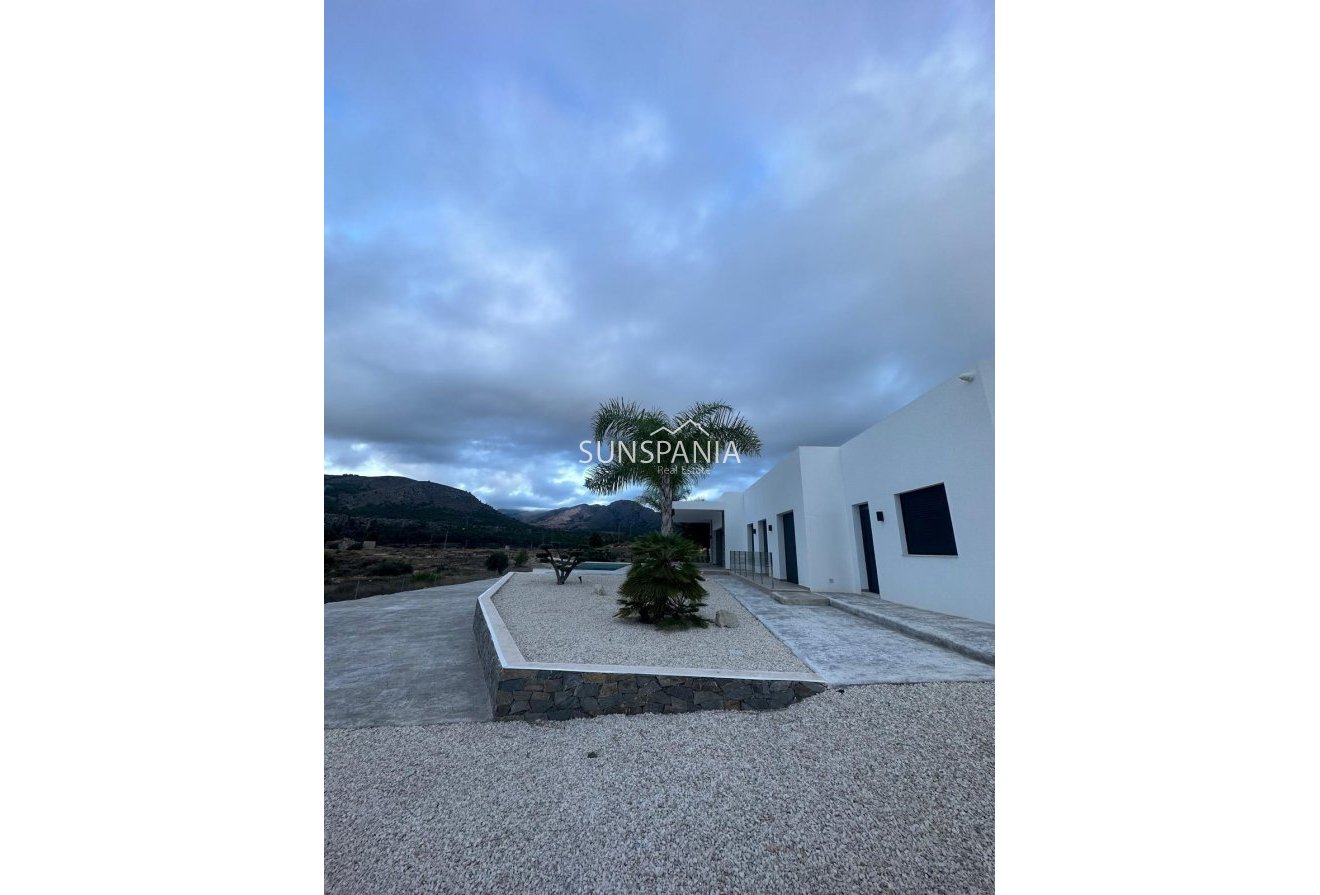 Obra nueva - Chalet -
Pinoso - Casas Pastor