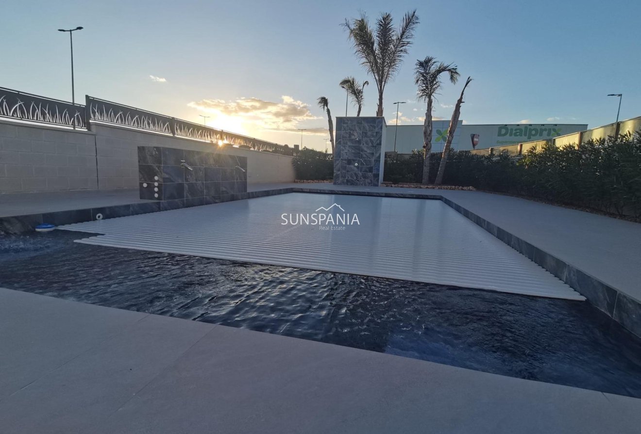 Obra nueva - Chalet -
Los Montesinos - La Herrada