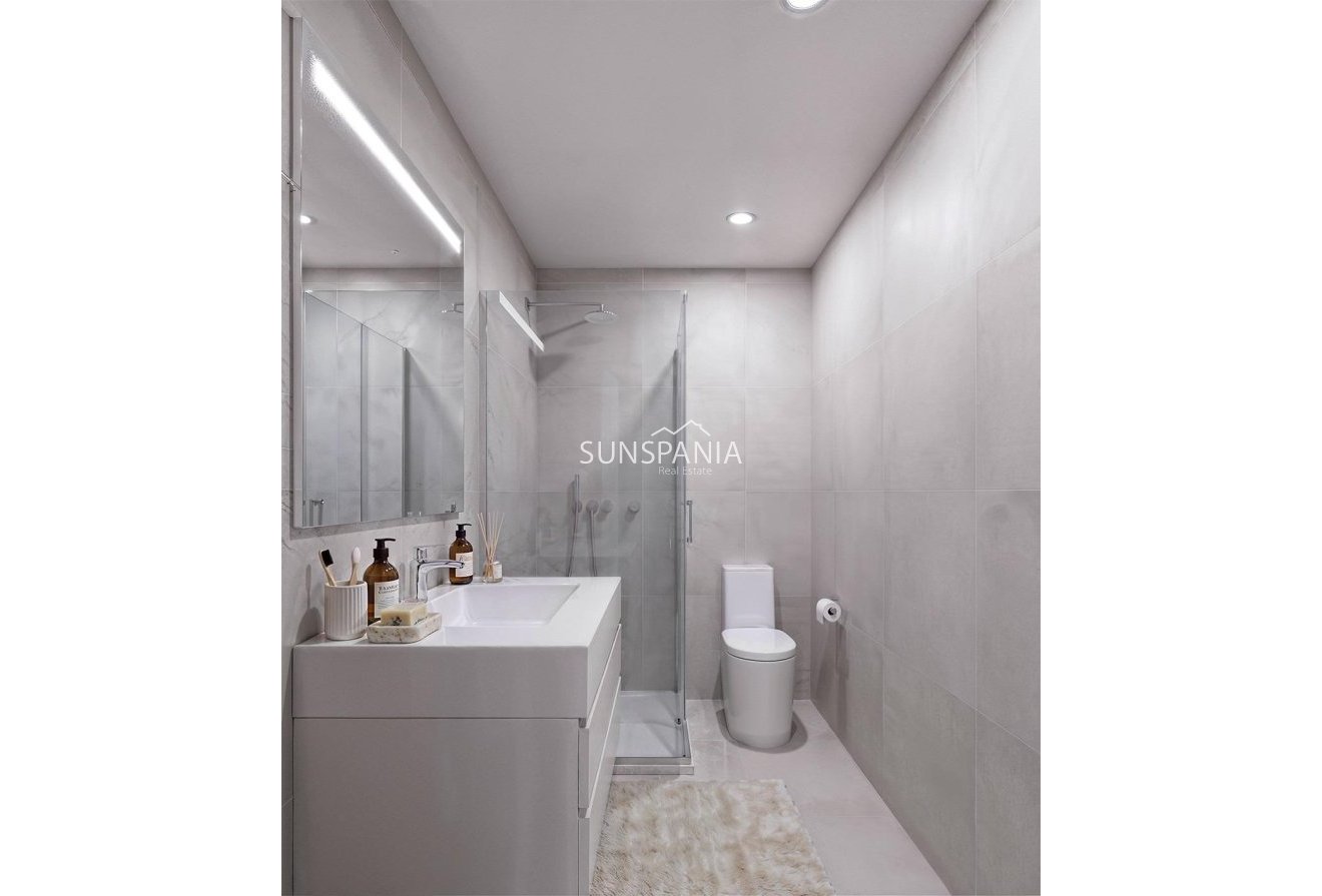 Obra nueva - Ático -
Fuente Álamo - La Pinilla