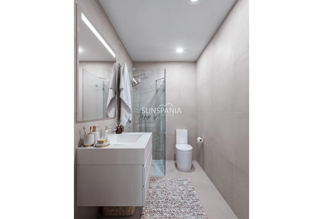 Obra nueva - Ático -
Fuente Álamo - La Pinilla