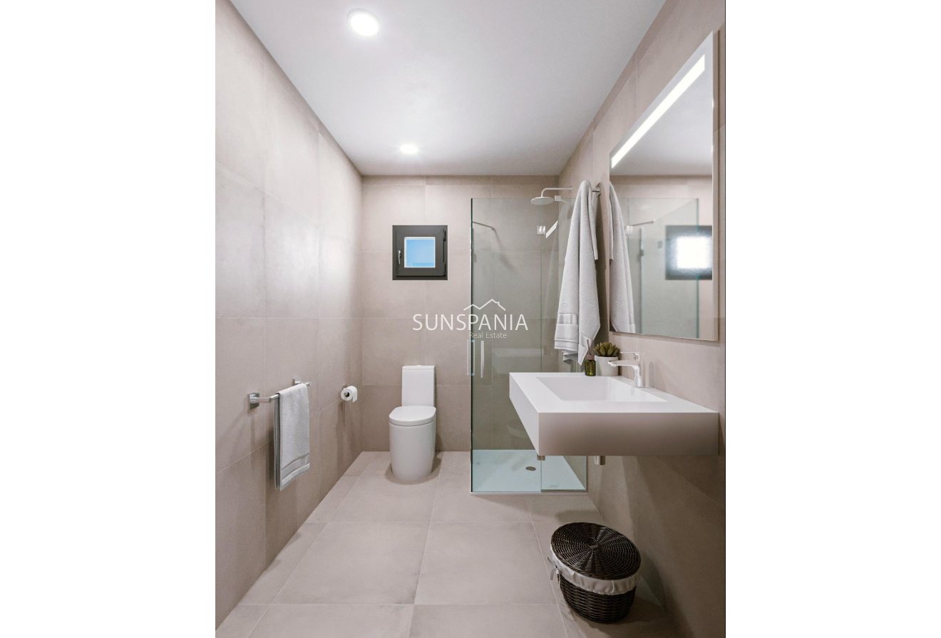 Obra nueva - Chalet -
Fuente Álamo - La Pinilla