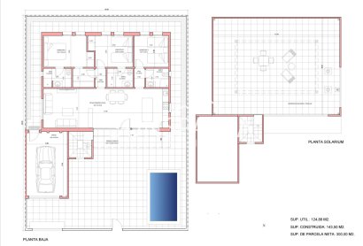 Obra nueva - Chalet -
Fuente Álamo - La Pinilla