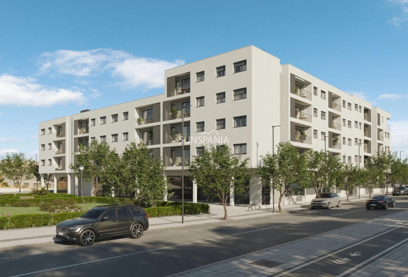 Obra nueva - Piso -
Alicante - San Agustín