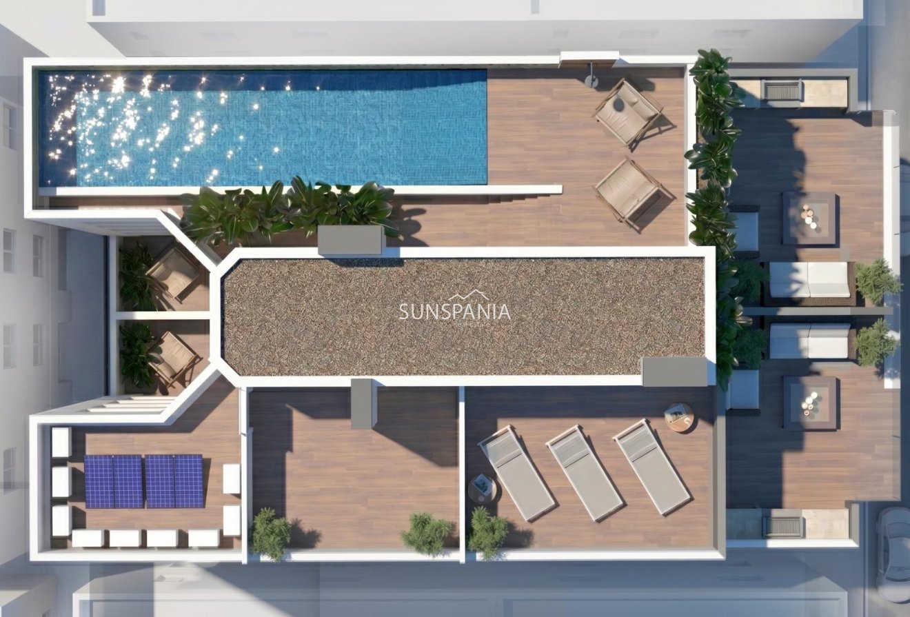 Obra nueva - Piso -
Guardamar del Segura - Centro