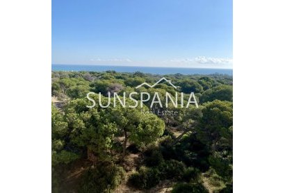 Obra nueva - Piso -
Guardamar del Segura - Centro
