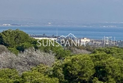 Obra nueva - Piso -
Guardamar del Segura - Centro
