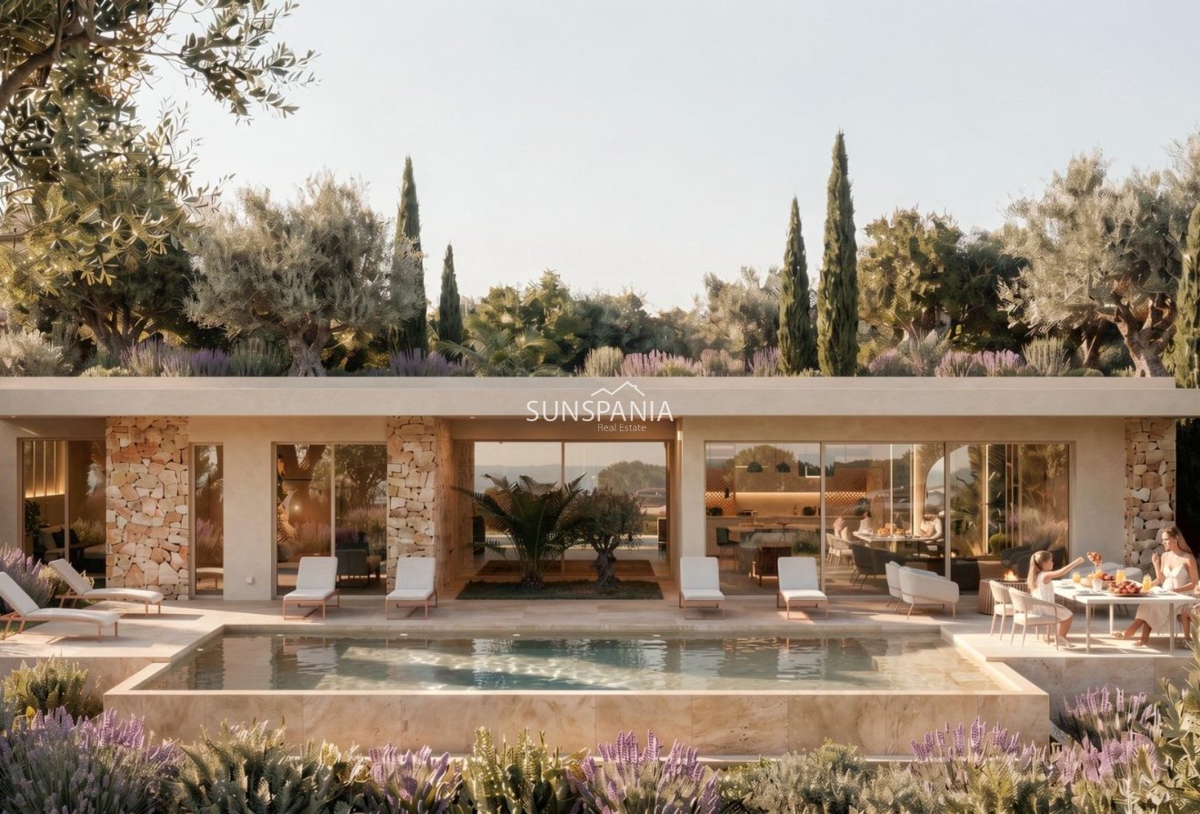Obra nueva - Chalet -
La Romana - Los Joveres