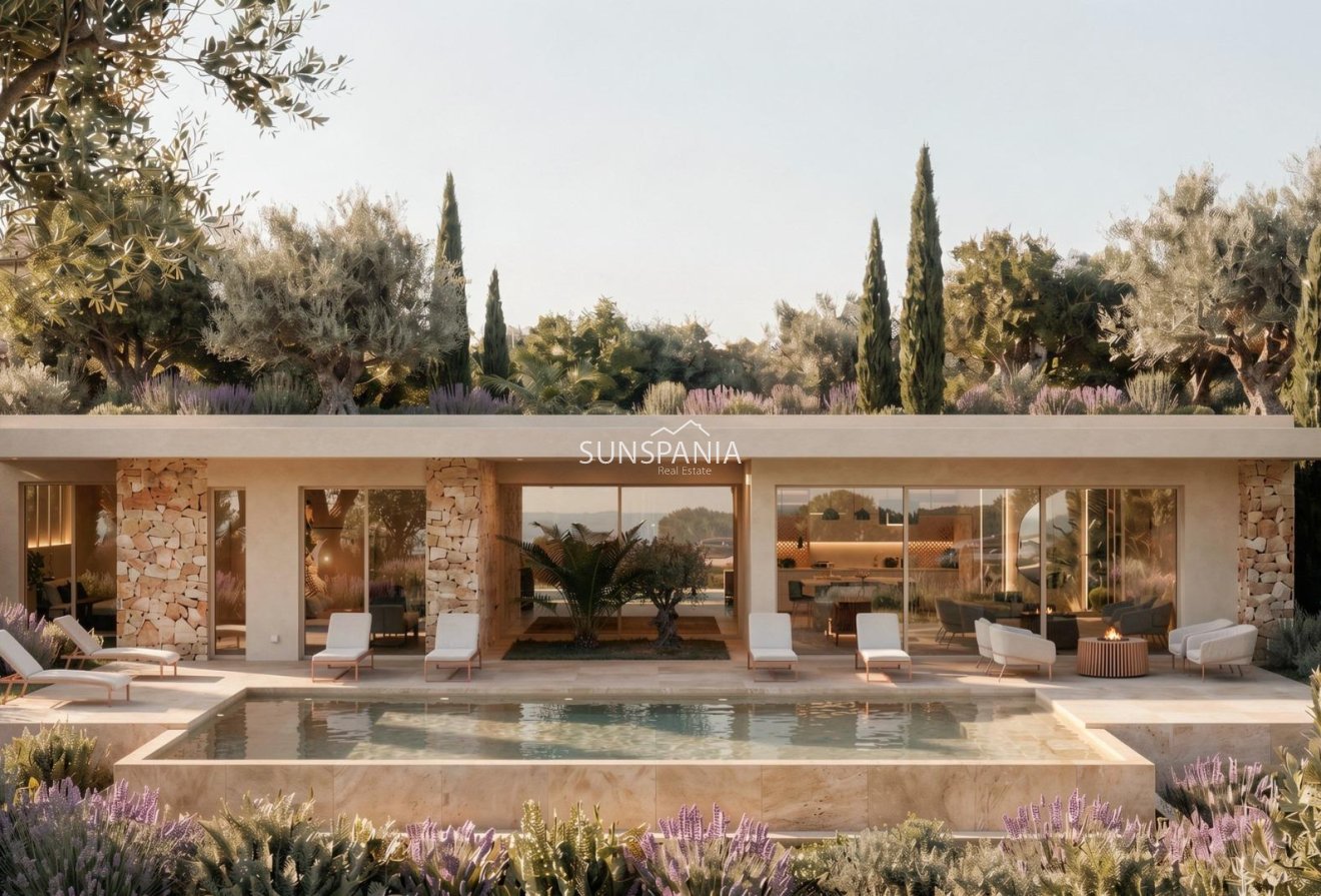 Obra nueva - Chalet -
La Romana - Los Joveres