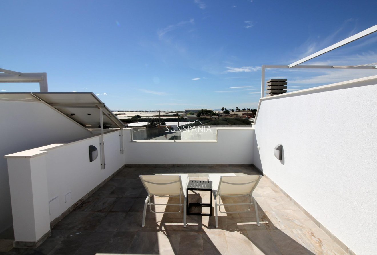 Obra nueva - Chalet -
Pilar de la Horadada - parque Andromeda