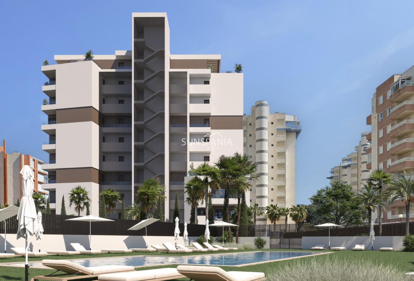 Obra nueva - Piso -
Guardamar del Segura - Puerto