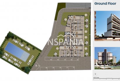 Obra nueva - Piso -
Guardamar del Segura - Puerto