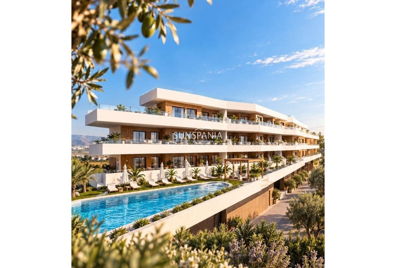 Obra nueva - Piso -
Formentera del Segura - Pueblo